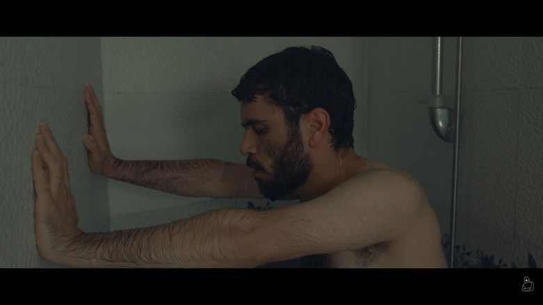 кадр из фильма دست