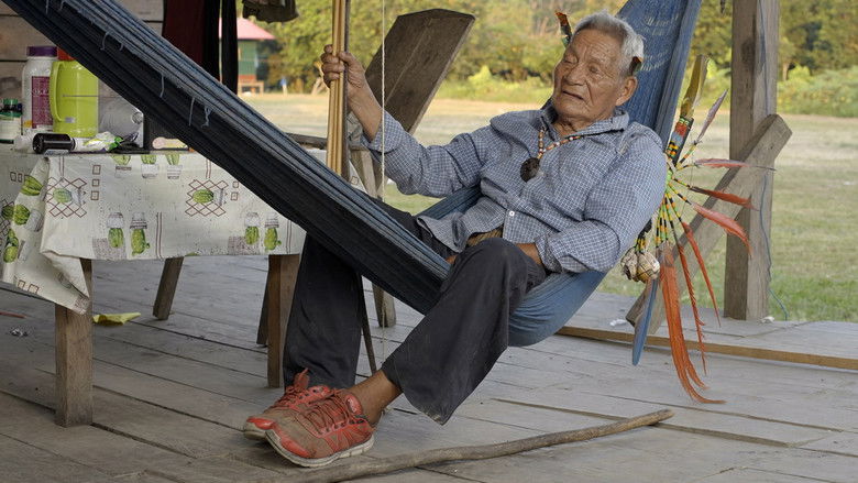 кадр из фильма Wändari