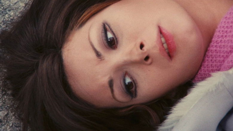 кадр из фильма Глаз чёрного кота