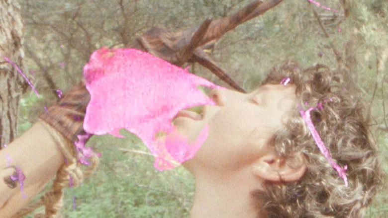 кадр из фильма Metamorphosis