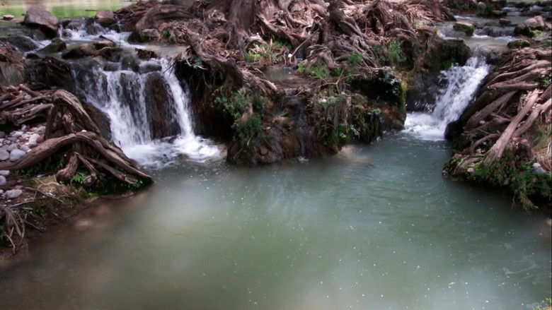 кадр из фильма Sangre diáfana