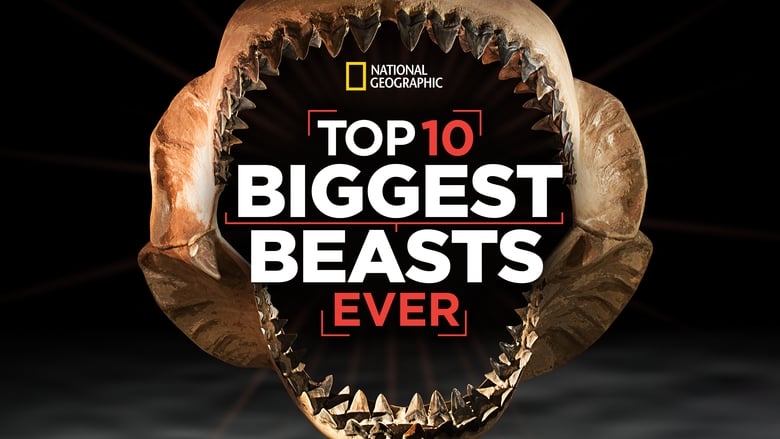 кадр из фильма Top 10 Biggest Beasts Ever