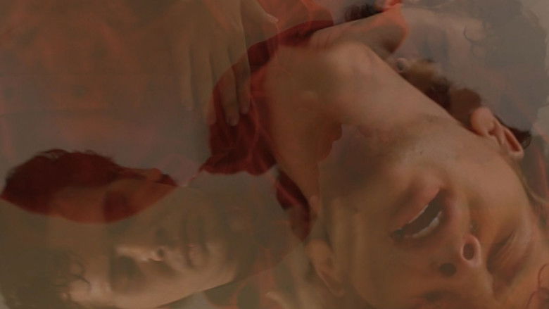 кадр из фильма MEDO