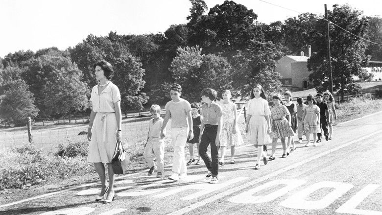 кадр из фильма Ladybug Ladybug