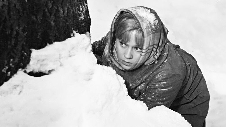 кадр из фильма Русский лес