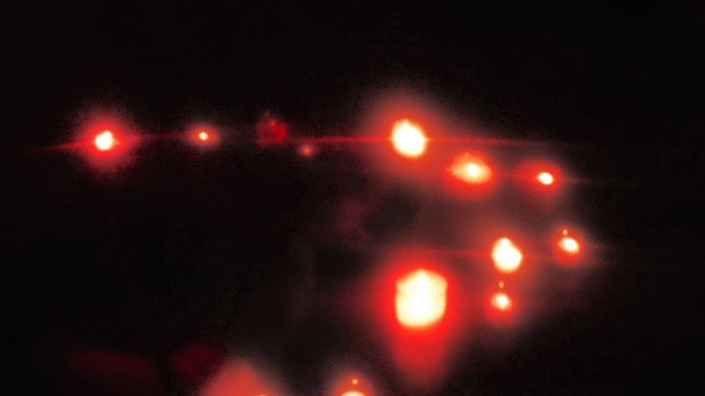 кадр из фильма Canard