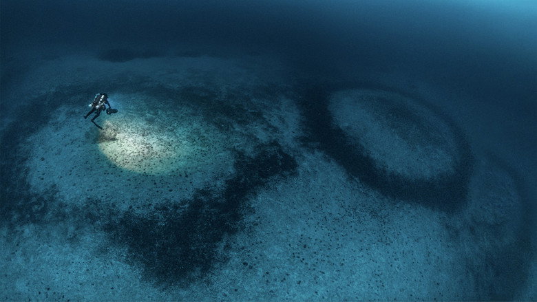 кадр из фильма Cap Corse - Le mystère des anneaux