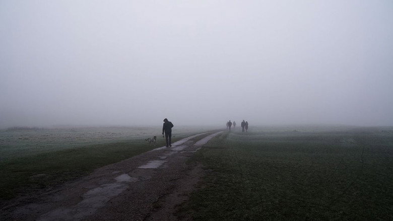 кадр из фильма Port Meadow