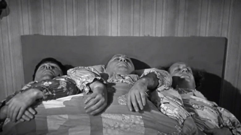 кадр из фильма Cactus Makes Perfect