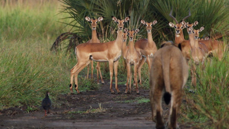 кадр из фильма Return of the Predators