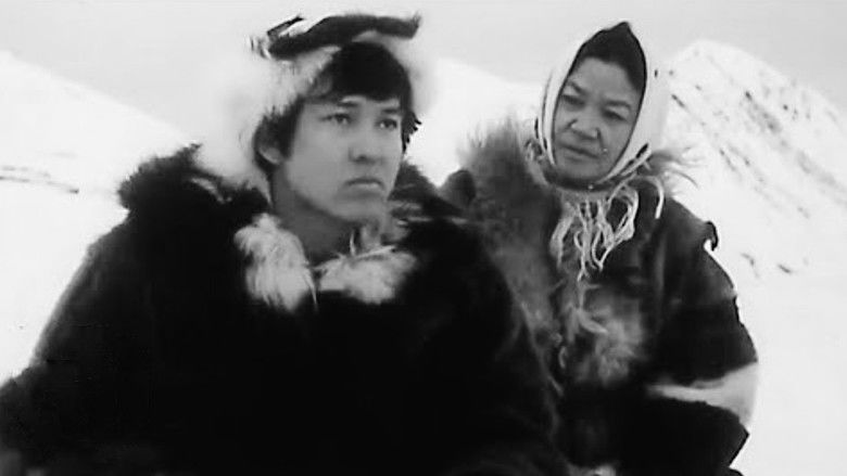 кадр из фильма Самые красивые корабли