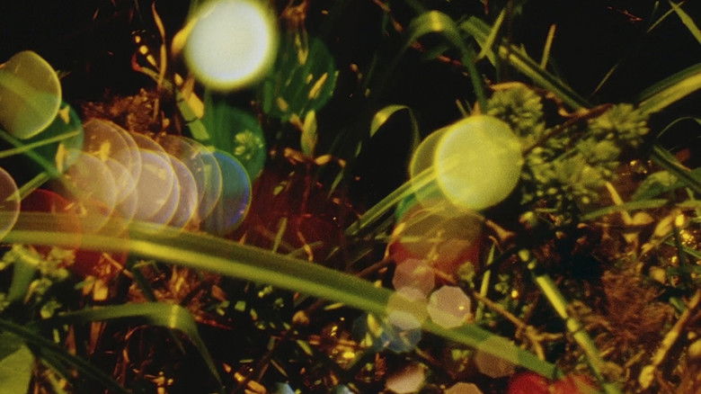 кадр из фильма Words of Mercury