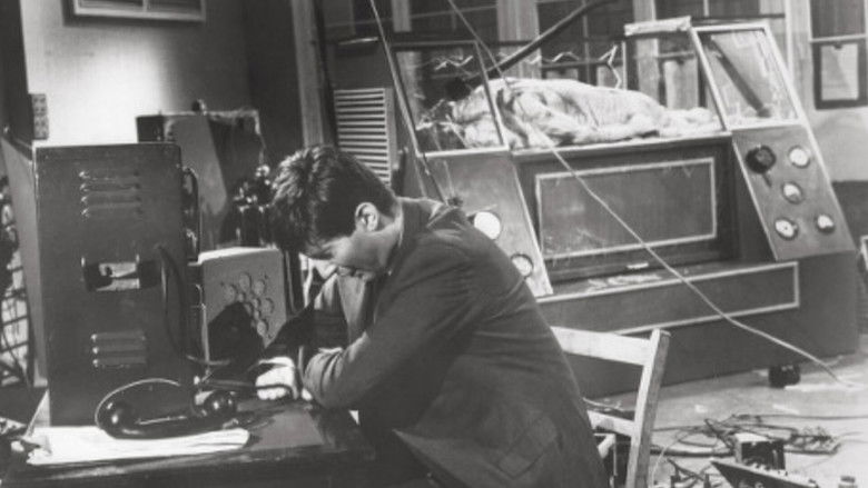 кадр из фильма Проклятие мухи