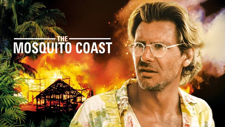 кадр из фильма Берег москитов