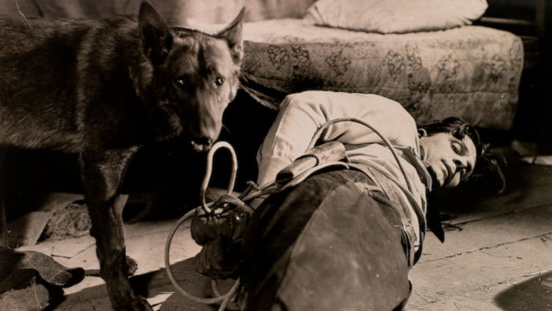 кадр из фильма Fangs of Destiny