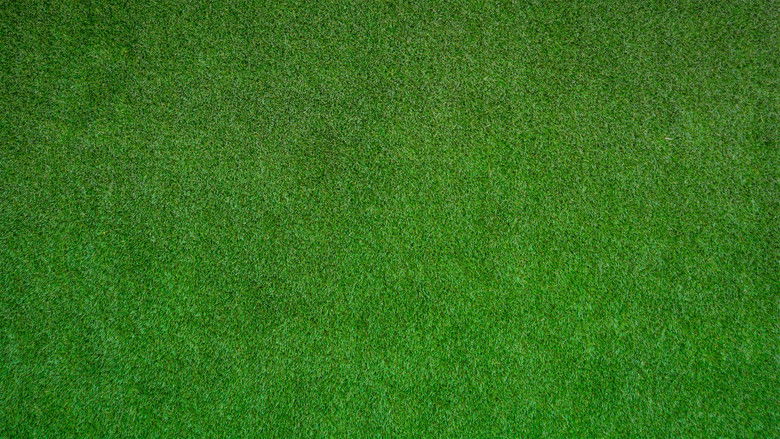 кадр из фильма The Mulligan's Island Invitational