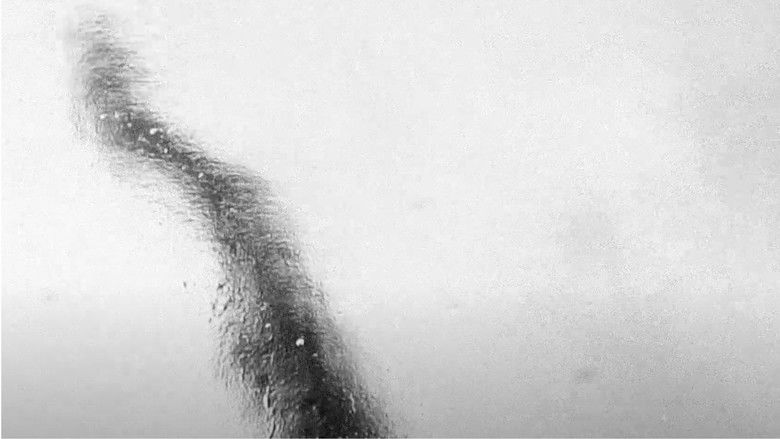 кадр из фильма Vantablack