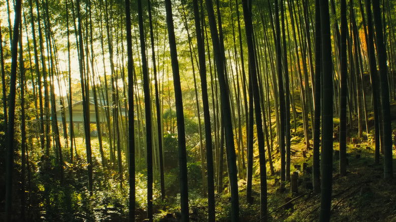 кадр из фильма Japan