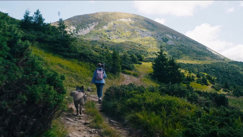 кадр из фильма Немає тіні у лісі