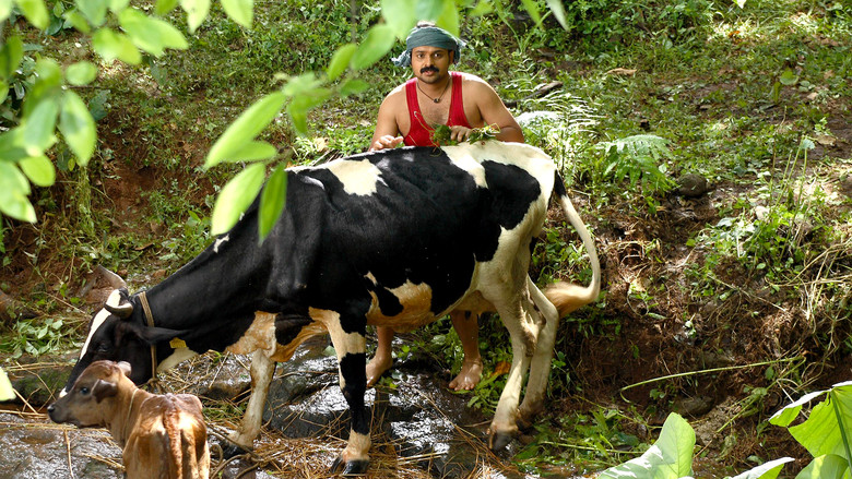 кадр из фильма എൽസമ്മ എന്ന ആൺകുട്ടി