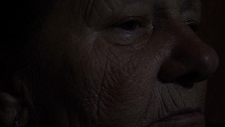 кадр из фильма Ljuštura