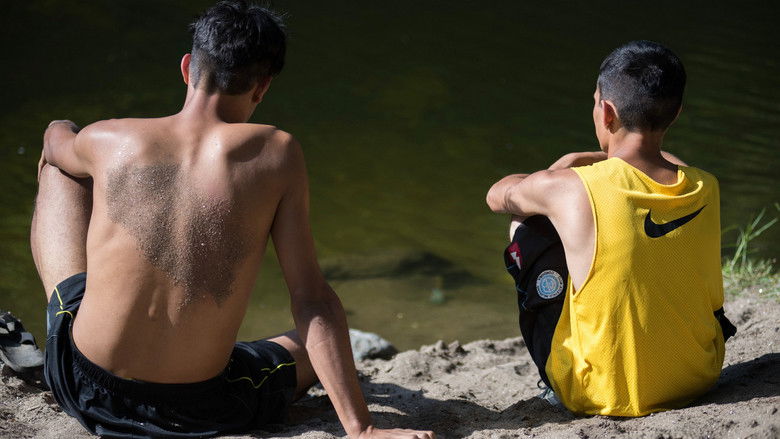 кадр из фильма Guacho