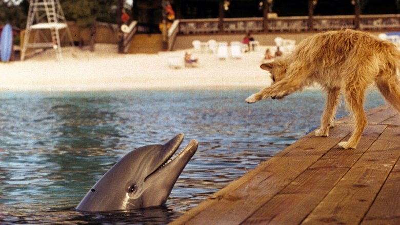 кадр из фильма Зевс и Роксана