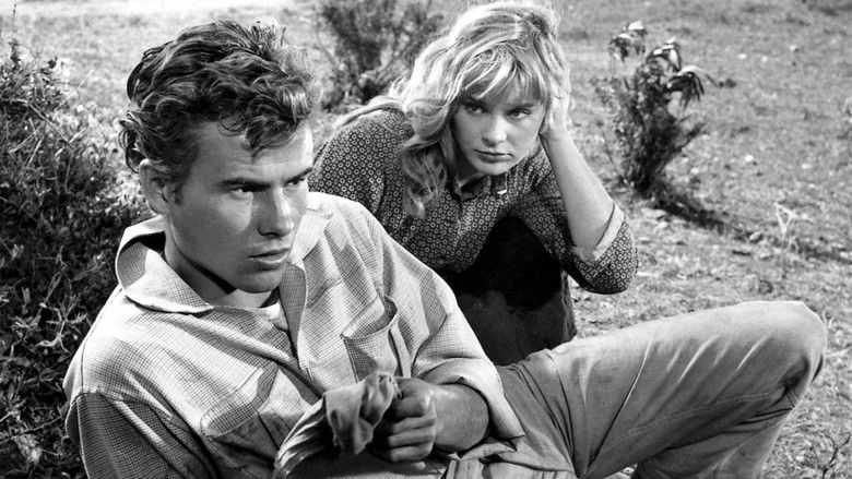 кадр из фильма Корабль мертвецов