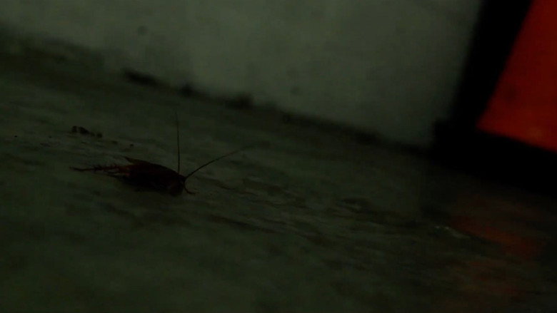 кадр из фильма A Crazy Man