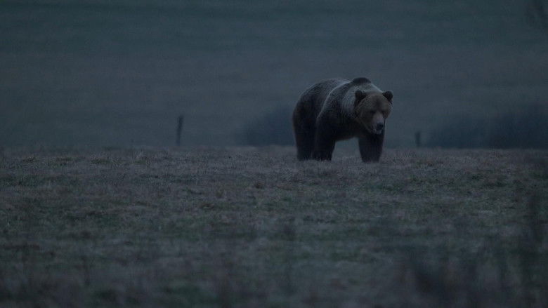 кадр из фильма Hlas lesa
