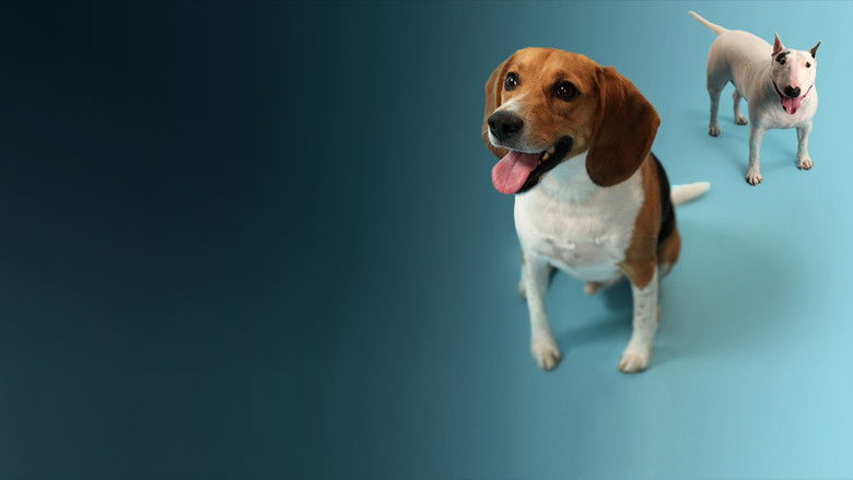 кадр из фильма How Dogs Got Their Shapes