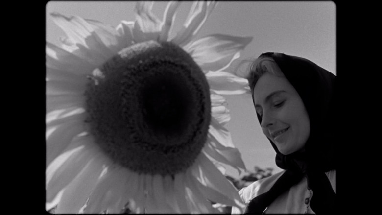 кадр из фильма Ének a búzamezőkről