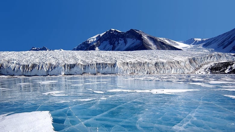 кадр из фильма Antarctica: Journey into the White Desert