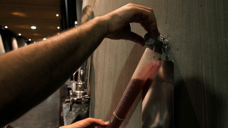 French Masters of Wine