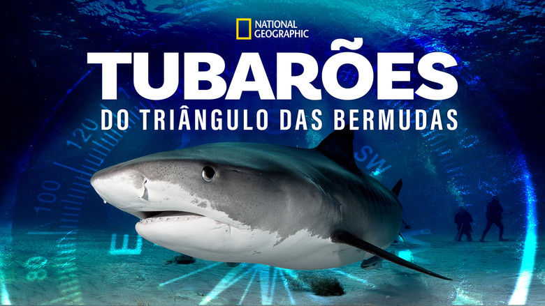 кадр из фильма Sharks of the Bermuda Triangle