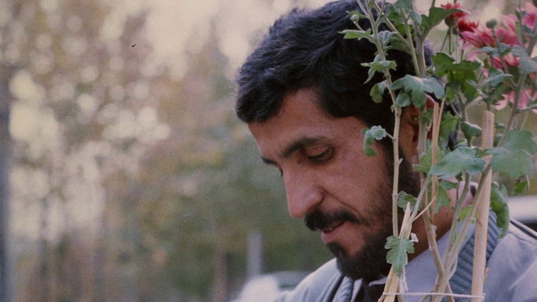 кадр из фильма Крупный план