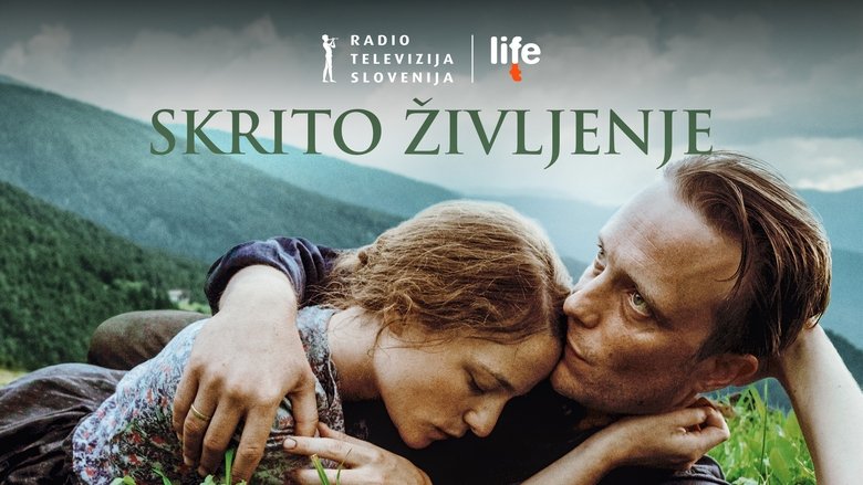 кадр из фильма Тайная жизнь