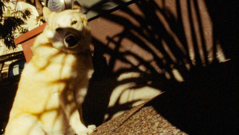 кадр из фильма The Return