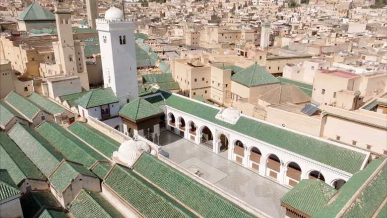 кадр из фильма Les trésors oubliés de la médecine arabe