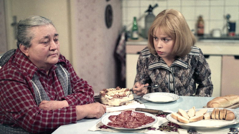 кадр из фильма Rovnice o jedné krásné neznámé...