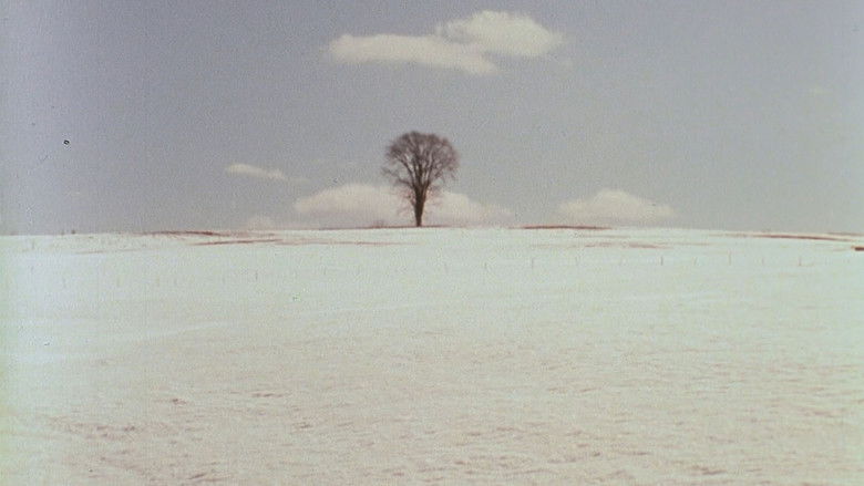 кадр из фильма The Animal