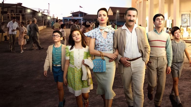 кадр из фильма Расскажи мне кино