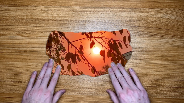 кадр из фильма The World in Our Hands