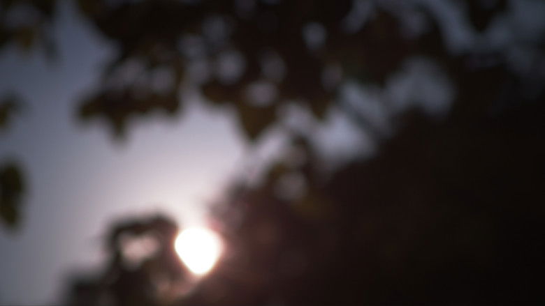 кадр из фильма Past Calling