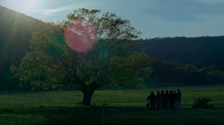 кадр из фильма Velar