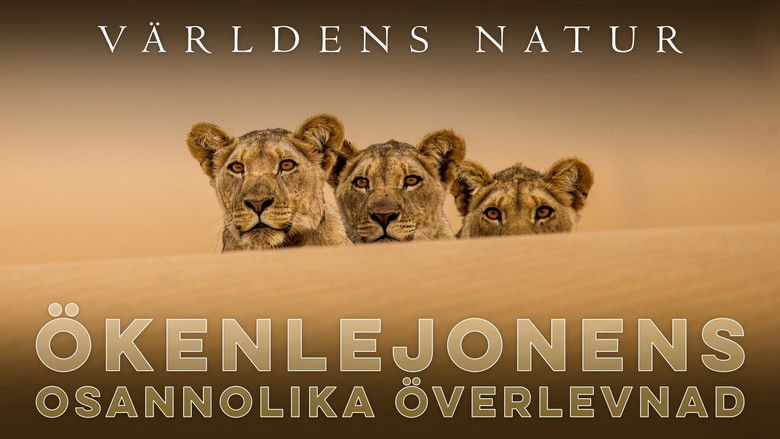 кадр из фильма Lions of the Skeleton Coast