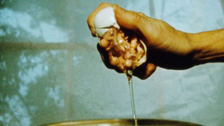 кадр из фильма Maternal Filigree