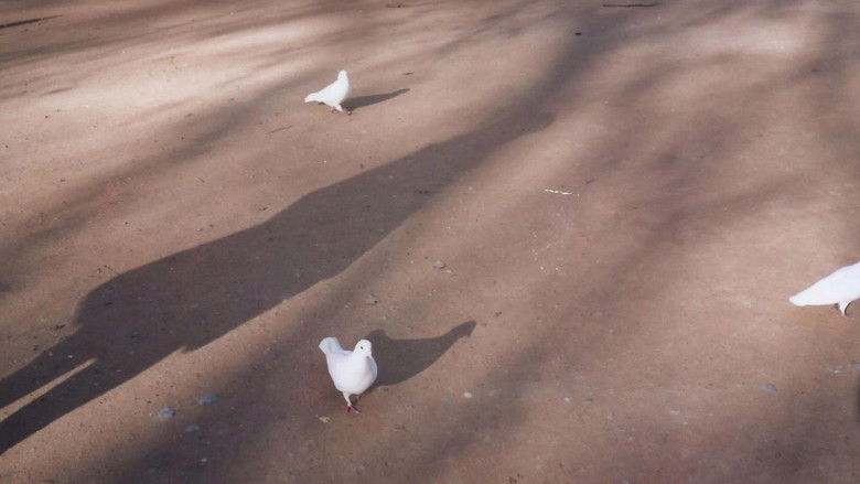 кадр из фильма Um Adeus a Baco