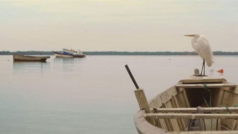 кадр из фильма Doidos de Pedra - O Paraíso Esquecido