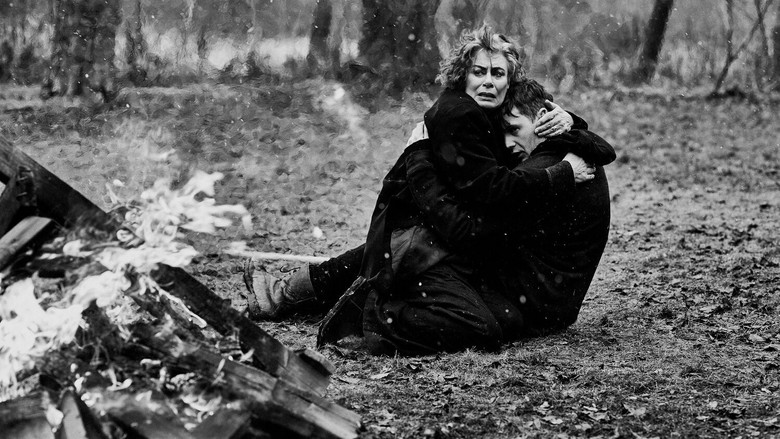 кадр из фильма Незнакомец